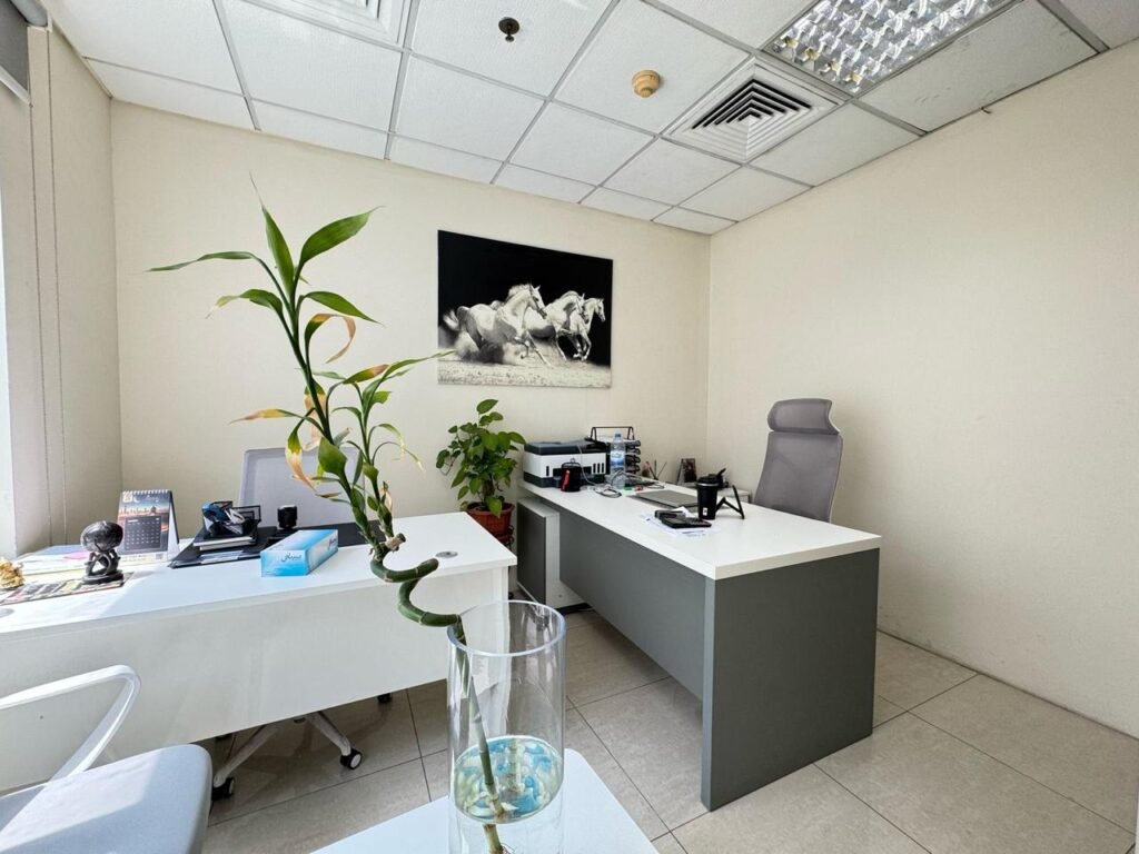 WhatsApp Image 2025-03-26 at 16.40.50_26dfbf3f